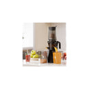 Juicer Cold Press Vegetable Fruit Juice