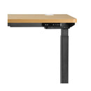 Standing Desk Dual Motor Adjustable Motorised White&Oak 150cm