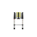 Telescopic Multipurpose Ladder Silver