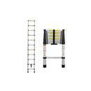 Telescopic Multipurpose Ladder Silver