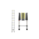 Telescopic Multipurpose Ladder Silver