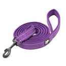 Purple Reflective Pet Leash 2m