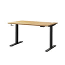 Standing Desk Dual Motor Adjustable 120cm Black&White