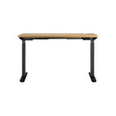 Standing Desk Dual Motor Adjustable 120cm Black&White