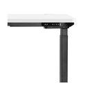 Standing Desk Dual Motor Adjustable 120cm Black&White