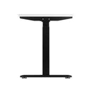 Standing Desk Dual Motor Adjustable 120cm Black&White