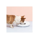 6 Meal Automatic Pet Feeder Dispenser With Programmable Timer White