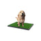 Xl Indoor Dog Toilet Grass Training Mat Loo Pad Potty With 3 Grass