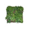 1 Sqm Artificial Plant Grass Panels Foliage Tile Fence 1X1M Variety