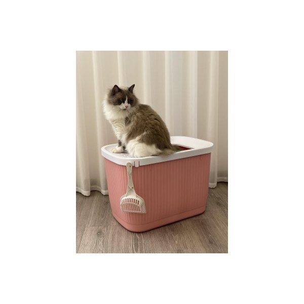 Xxl Top Entry Cat Litter Box No Mess Large Enclosed Covered Kitty Tray