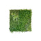 1 Sqm Artificial Plant Wall Grass Panels Foliage Tile Fence Green 1X1M