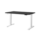 Standing Desk Adjustable Motorised 120cm White