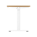 Standing Desk Adjustable Motorised 120cm White