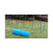 Portable Dog Puppy Training Agility Post Exercise Tunnel Jump Tyre Set