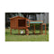 146Cm Rabbit Hutch Metal Run Wooden Cage Guinea Pig Cage House