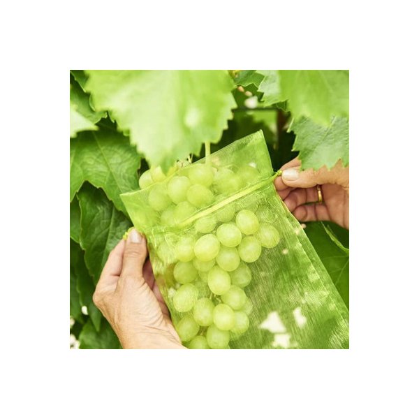 100Pcs 20 X 30Cm Fruit Net Bags Garden Vegetable Protection Mesh