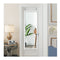 Wall Mounted Dressing Mirror With Hanging Hooks For Bedroom