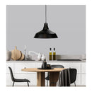 Warehouser 39Cm Industrial Pendant