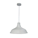 Warehouser 39Cm Industrial Pendant
