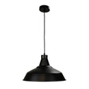 Warehouser 39Cm Industrial Pendant
