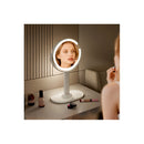 10X Magnifying Makeup Mirror With Led Light