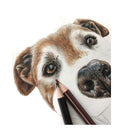 Erasable Color Pencil With Eraser