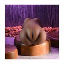 Zero Tolerance Sklyer Nicole Wet N Ready Vagina Stroker Brown