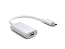 Oxhorn  Type C to Mini DisplayPort Adapter