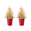 2 Pack Pre Lit Artificial Entrance Christmas Tree Potted