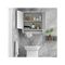 Bathroom Wall Cabinet With 2 Doors And Adjustable Shelf