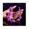 Selopa Beaded Adventure Purple Anal Beads