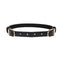 Sex And Mischief Double Buckle Day Collar Black Collar