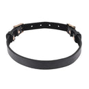 Sex And Mischief Double Buckle Day Collar Black Collar