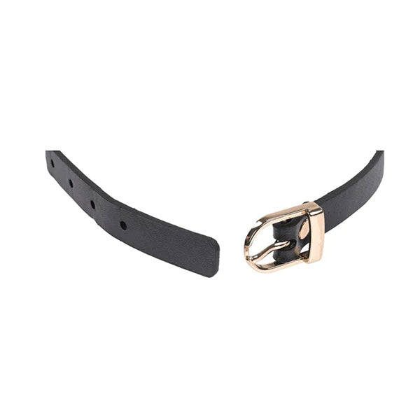 Sex And Mischief Double Buckle Day Collar Black Collar