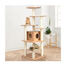 Modern Cat Climbing Tree With Scratch Resistant Sisal Rope Column