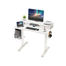 Electric Standing Desk Height Adjustable With 2 Drawers And Hooks