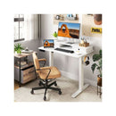 Electric Standing Desk Height Adjustable With 2 Drawers And Hooks