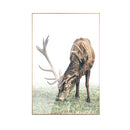 Elk Canvas Pic Painting Metal Frame Wall Art Print Hanging Picture
