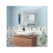 Frameless Bathroom Wall Mounted Mirror Cabinet With Doors And Shelves
