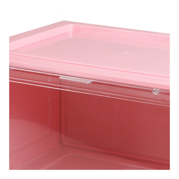 Sneaker Display Case Shoe