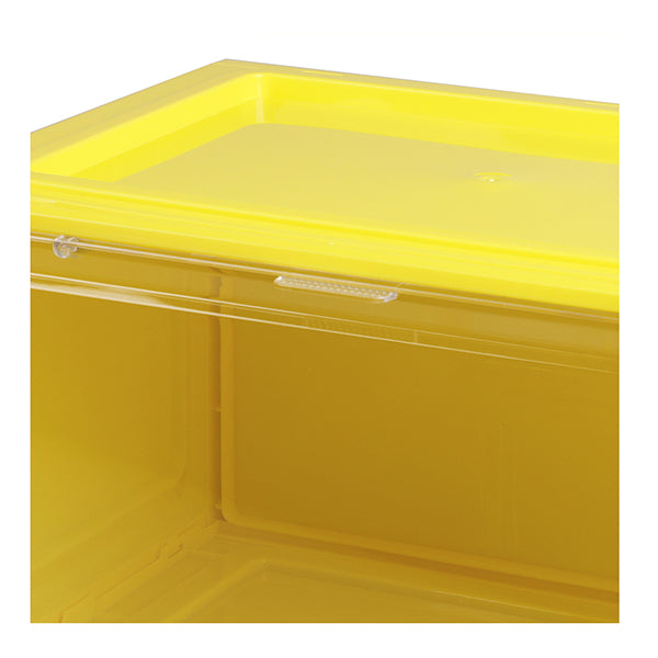 Sneaker Display Case Shoe