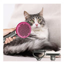 Pet Grooming Tools