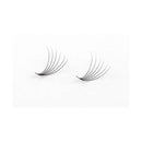 Miosh Eyelash Extensions Xl 6D Premade