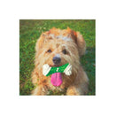 Dog Chew Toy Dental Puppy Teething Gum
