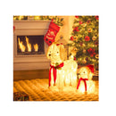 Pre Lit Mama And Baby Poodle Dogs With 60 Warm White Led Lights