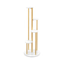 Indoor Metal Plant Stand With Golden Metal Frame