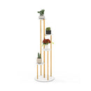 Indoor Metal Plant Stand With Golden Metal Frame