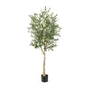 182Cm Artificial Olive Tree In Cement Pot With Leaves And Fruits