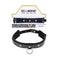 Sex And Mischief Orbit Day Collar Black Collar
