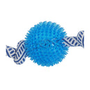 Dog Chew Toys Squeaky